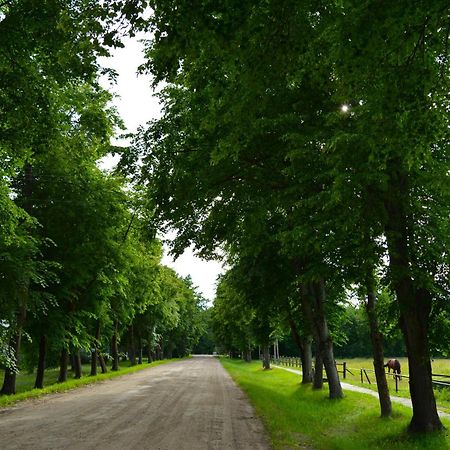 Gamtos Apsupty Lejlighed Palanga Eksteriør billede