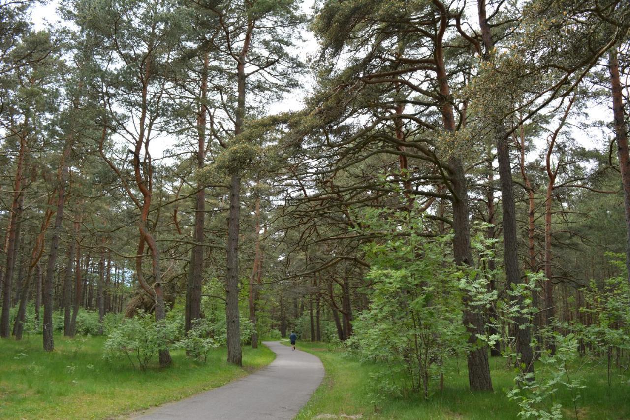 Gamtos Apsupty Lejlighed Palanga Eksteriør billede